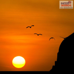 ඉරාන යුද්ධයේ නිමාව ගැන ඇසෙන සැනසිලිදායක පුවත.